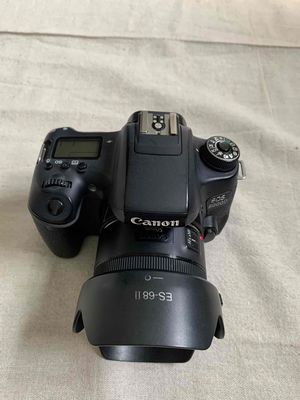 Canon 8000D(760D)+Lens 50 1.8 STM. Mua bán Máy ảnh, Máy quay tại Quận Hải Châu Đà Nẵng được đăng bởi Nam Hoàng