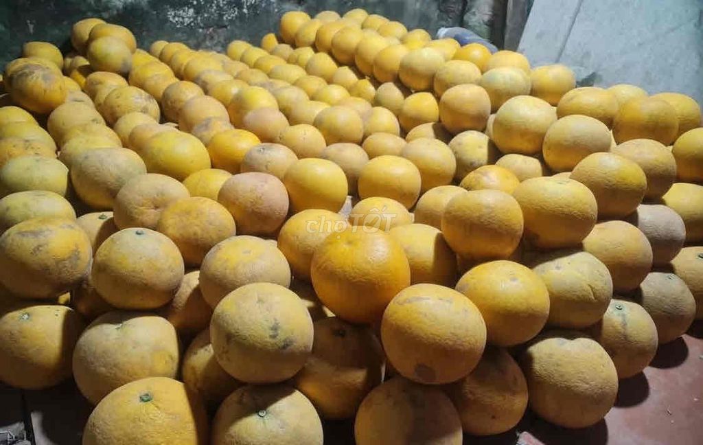 Bưởi Tam Vân Ăn, Biếu Tết. Mua bán Đồ ăn, thực phẩm và các loại khác tại Quận Bắc Từ Liêm Hà Nội được đăng bởi Vũ Hải Định hình 1