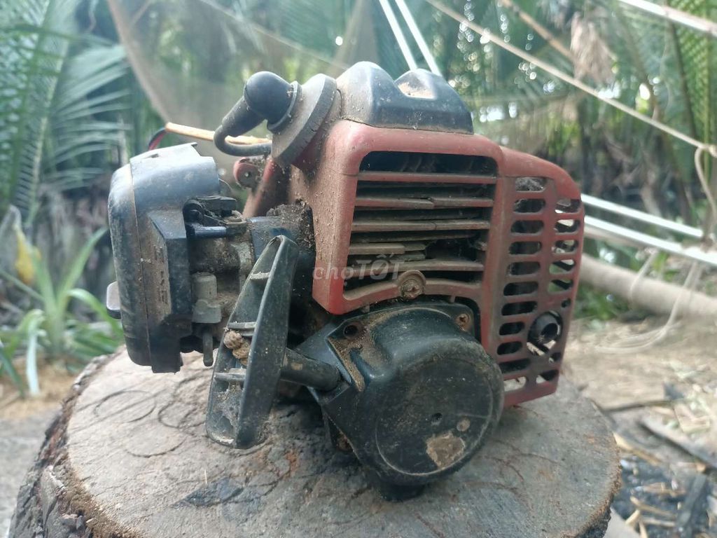 Đầu máy cắt cỏ Đỏ Đã qua sử dụng. Mua bán Đồ chuyên dụng, Giống nuôi trồng tại Huyện Càng Long Trà Vinh được đăng bởi Mỹ Hiền Lê Thị hình 1