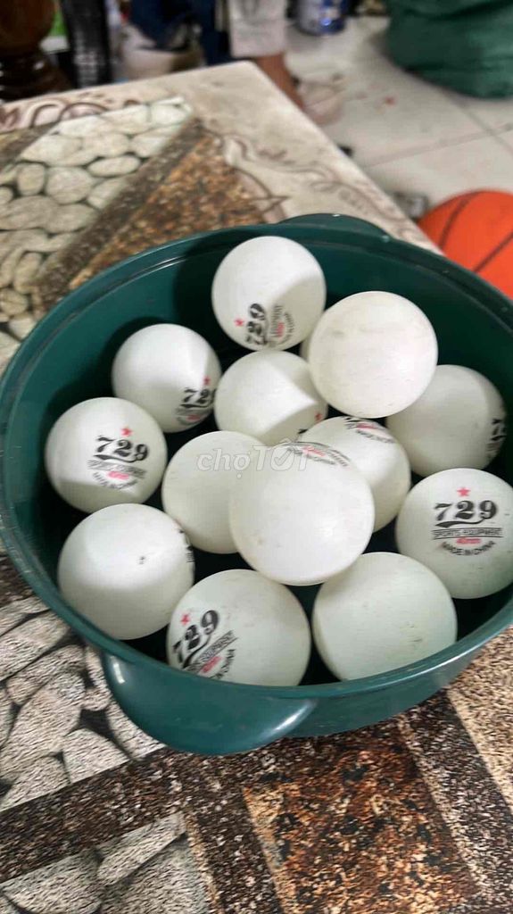 Bàn bóng bàn 729 Nhựa Trắng Tập luyện. Mua bán Đồ thể thao, Dã ngoại tại Quận Hoàng Mai Hà Nội được đăng bởi Kairiyeudau hình 1