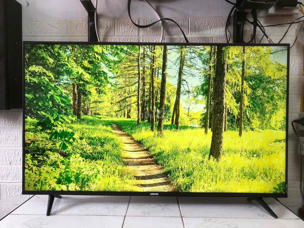 Tivi ASANZO 43SL600 Smart TV DVB-T2. Mua bán Tivi, Âm thanh tại Huyện Đông Hưng Thái Bình được đăng bởi Huy Nguyễn hình 1