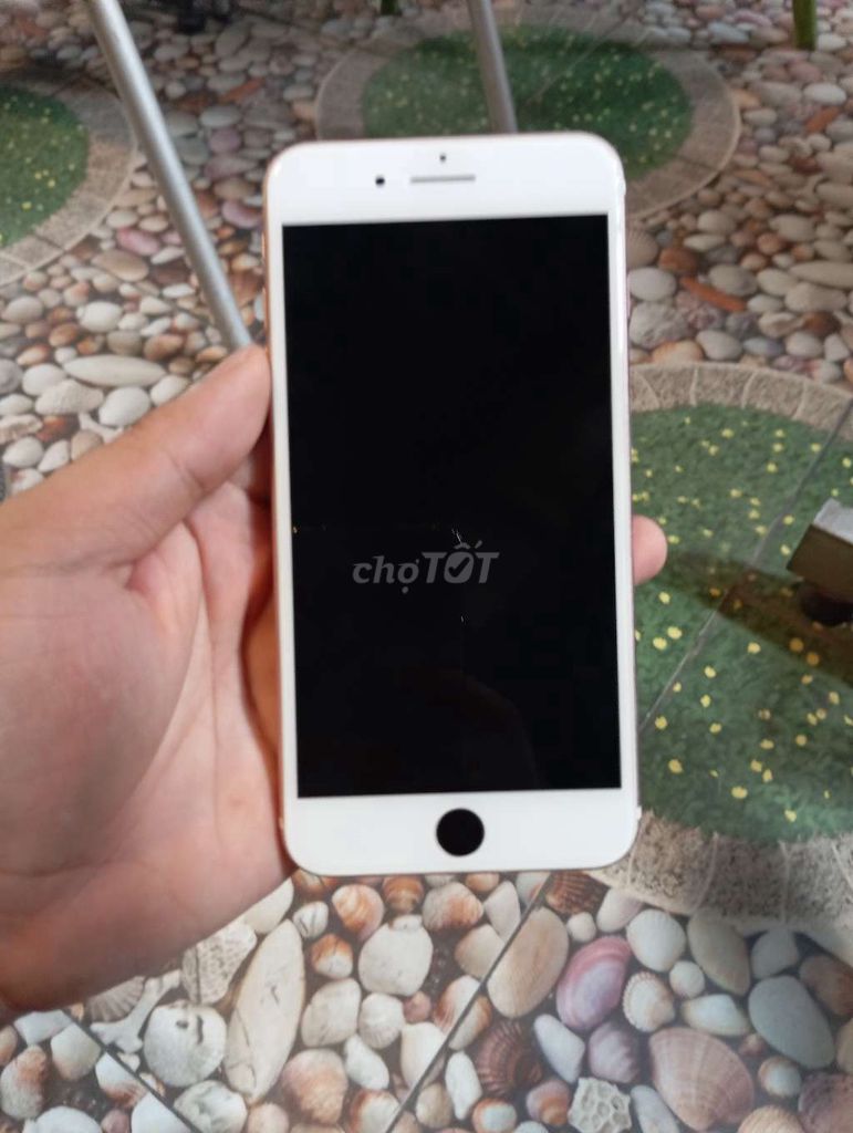 IPhone 7 Plus hồng 256gb không xài sim