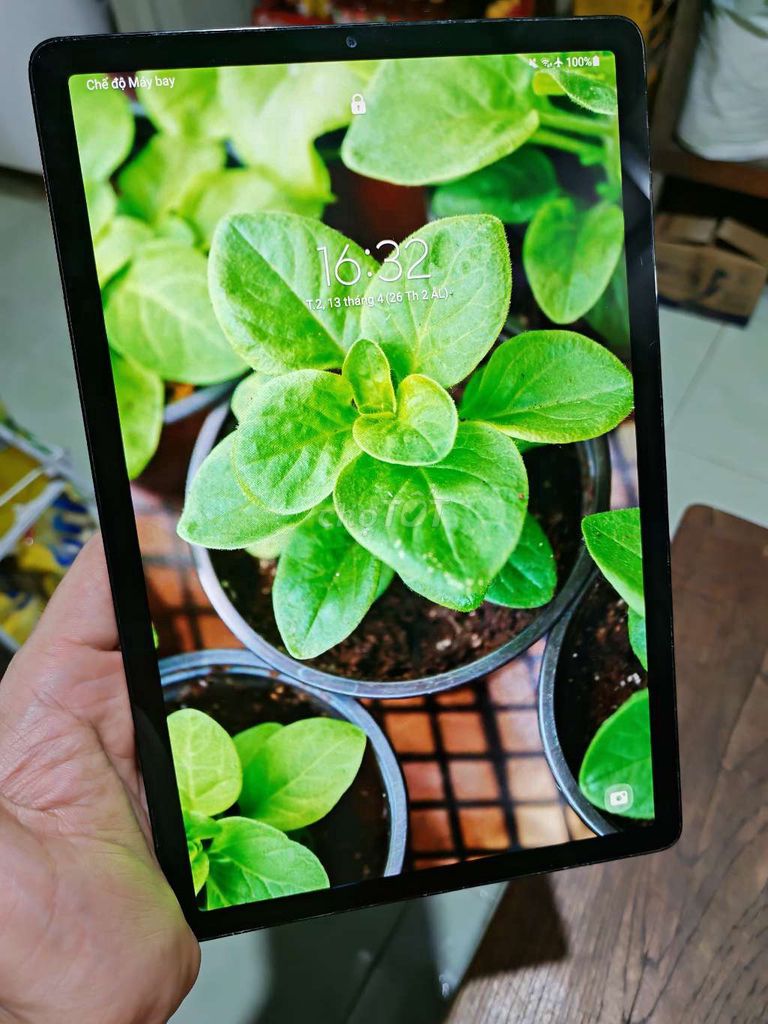 Samsung Galaxy Tab S5e Vàng đồng. Mua bán Máy tính bảng tại Huyện Chợ Mới An Giang được đăng bởi Nguyễn Thanh Tâm hình 1
