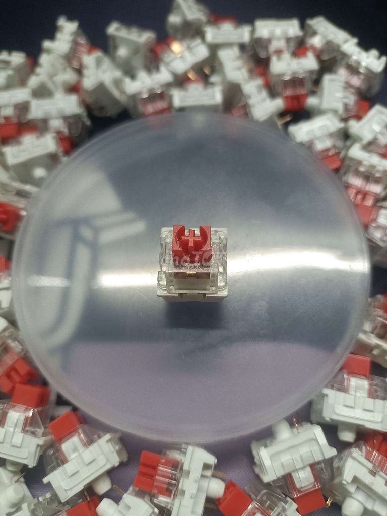 Switch bàn phím cơ Đỏ . Mua bán Phụ kiện (Màn hình, Chuột...) tại Huyện Diễn Châu Nghệ An được đăng bởi Lý Lê hình 1