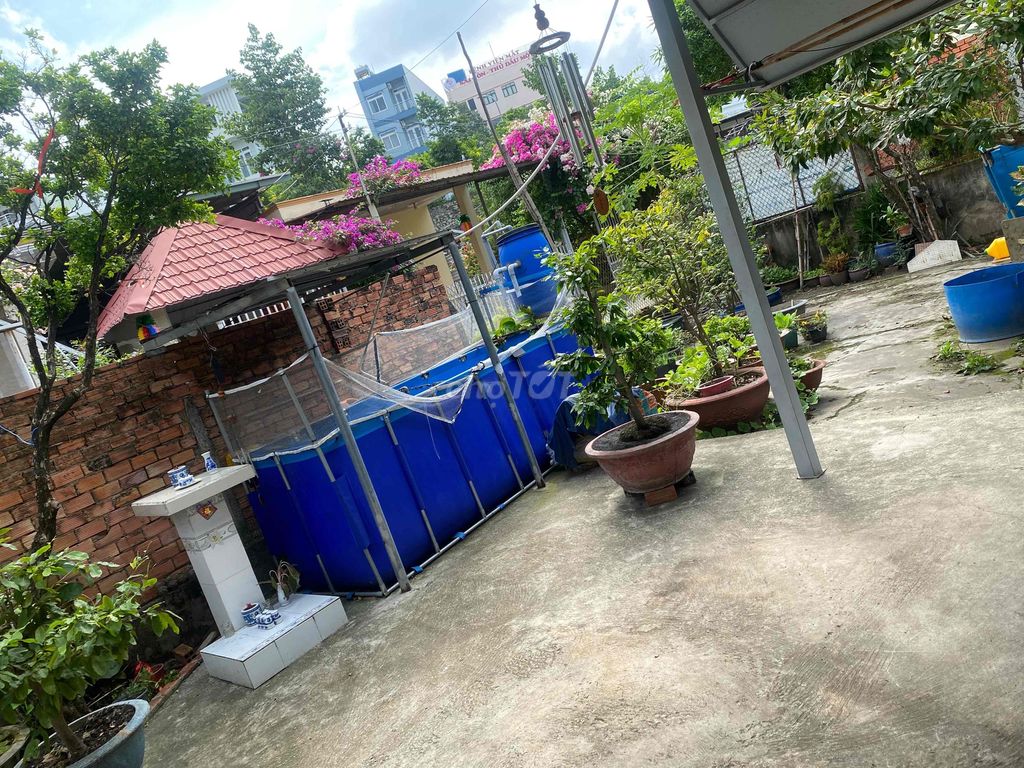 Bạt Bể cá Xanh dương 3m x 1m x 1m5. Mua bán Phụ kiện, Thức ăn, Dịch vụ tại Thành phố Thủ Dầu Một Bình Dương được đăng bởi Minh Quan Nguyen hình 1