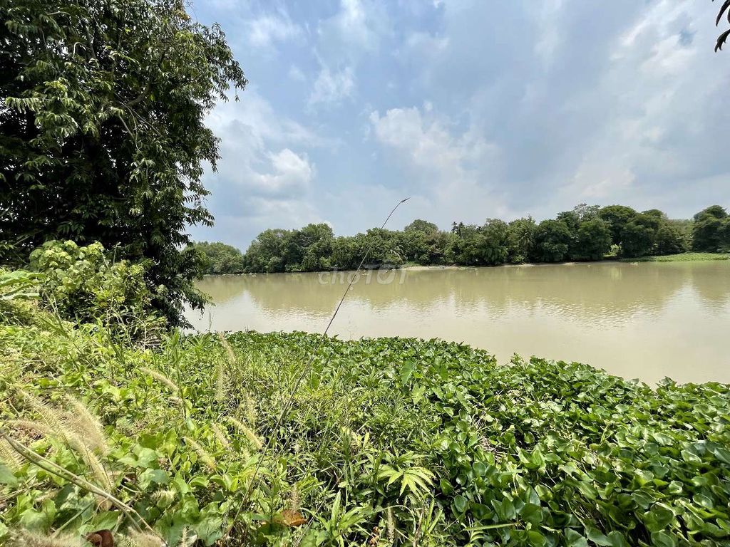 Bán vườn tại xã An Phú, Củ Chi, TPHCM 5,3 tỷ, 2861 m2 , thổ cư 95,6 m2