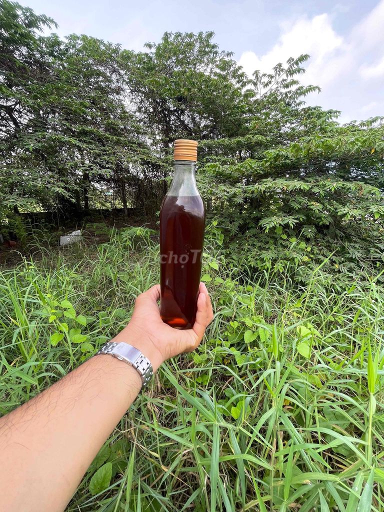 MẬT ONG RỪNG NGUYÊN CHẤT (ONG KHOÁI và ONG RUỒI). Mua bán Đồ ăn, thực phẩm và các loại khác tại Huyện Châu Thành Long An được đăng bởi Trần Văn Sáu  hình 2