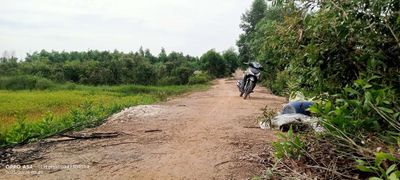 CHÍNH CHỦ CẦN BÁN LÔ ĐẤT DT 9.000 M2 TẠI BÌNH THÀNH ĐỨC HUỆ. Mua bán đất tại Huyện Đức Huệ Long An được đăng bởi Mai văn phúc 