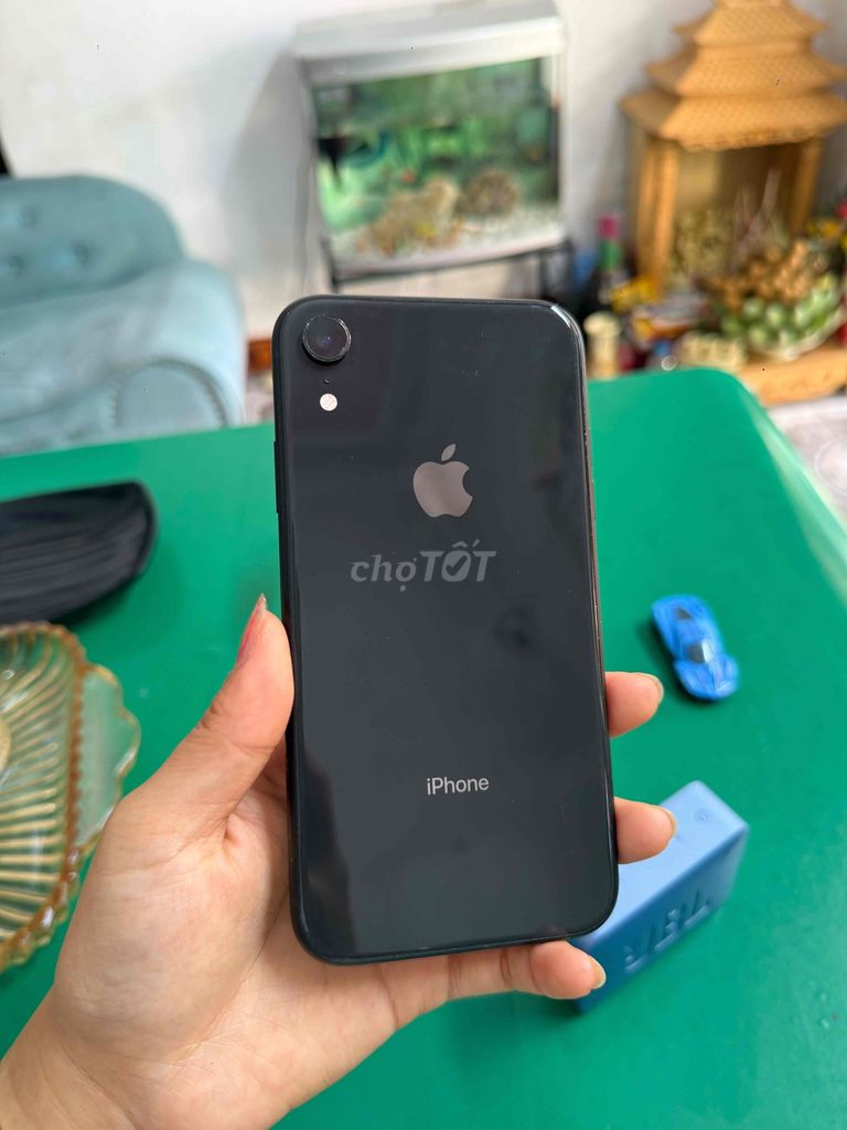 iPhone XR 64GB Đen Đã sử dụng. Mua bán Điện thoại tại Huyện Xuân Trường Nam Định được đăng bởi Ngọc Lý hình 1