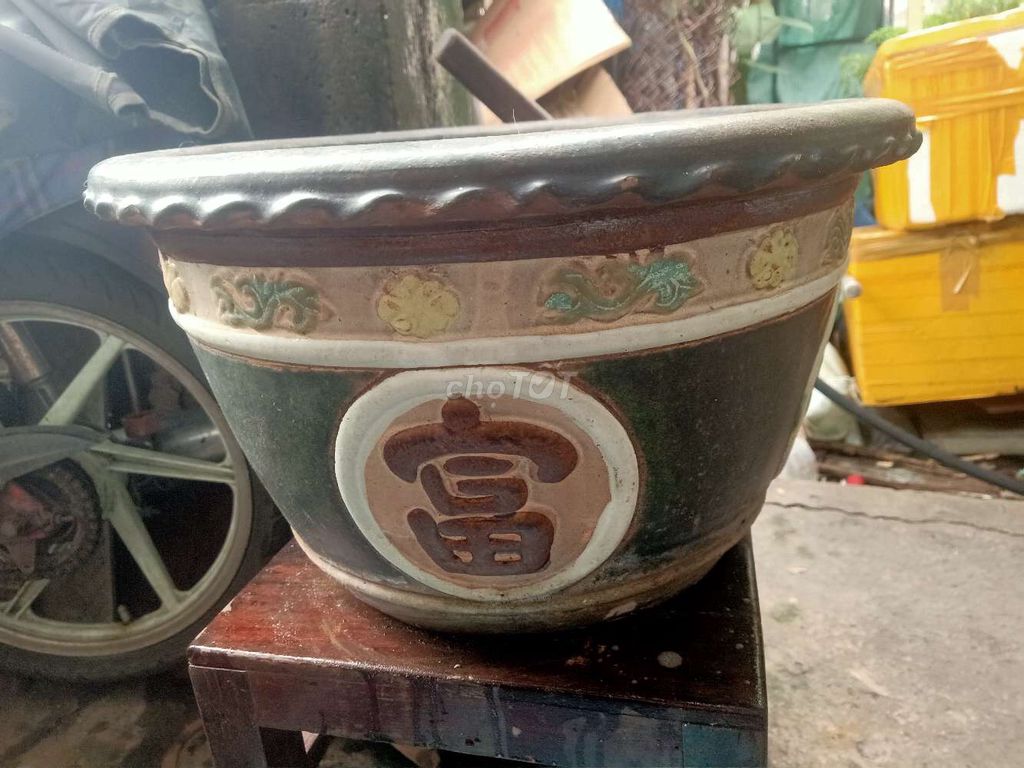 Chậu cây cảnh Gốm sứ Chậu xưa Lành. Mua bán Cây cảnh, đồ trang trí tại Quận 12 Tp Hồ Chí Minh được đăng bởi Bé  hình 1
