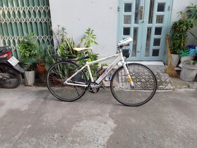 XE LOUIS 700C ĐÙM 8 SỐ.SƯỜN NHÔM. Mua bán Xe đạp tại Quận 12 Tp Hồ Chí Minh được đăng bởi Tổng Lệ