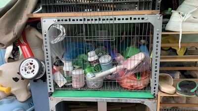 chuồng gà. Mua bán Phụ kiện, Thức ăn, Dịch vụ tại Huyện Nhà Bè Tp Hồ Chí Minh được đăng bởi Minh Tân