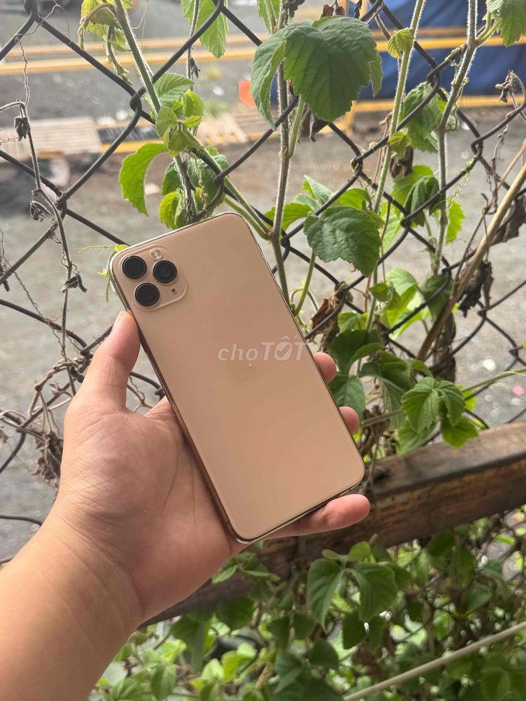 iPhone 11 Pro Max 256GB quốc tế mất face id. Mua bán Điện thoại tại Quận Bình Tân Tp Hồ Chí Minh được đăng bởi tmt hình 1