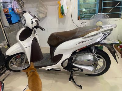 SH Mode trắng hiếm – chính chủ nữ, xe như mới 99%. Mua bán Xe máy tại Thành phố Thủ Đức Tp Hồ Chí Minh được đăng bởi Vũ