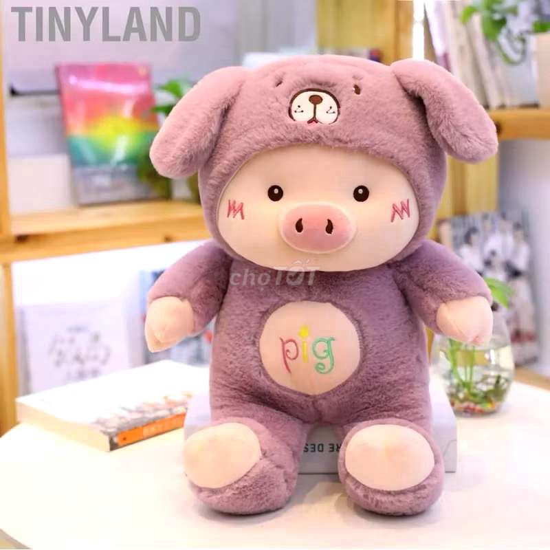 Gấu bông Tím Vải bông . Mua bán Sở thích khác tại Quận Hoàng Mai Hà Nội được đăng bởi Dương hình 1