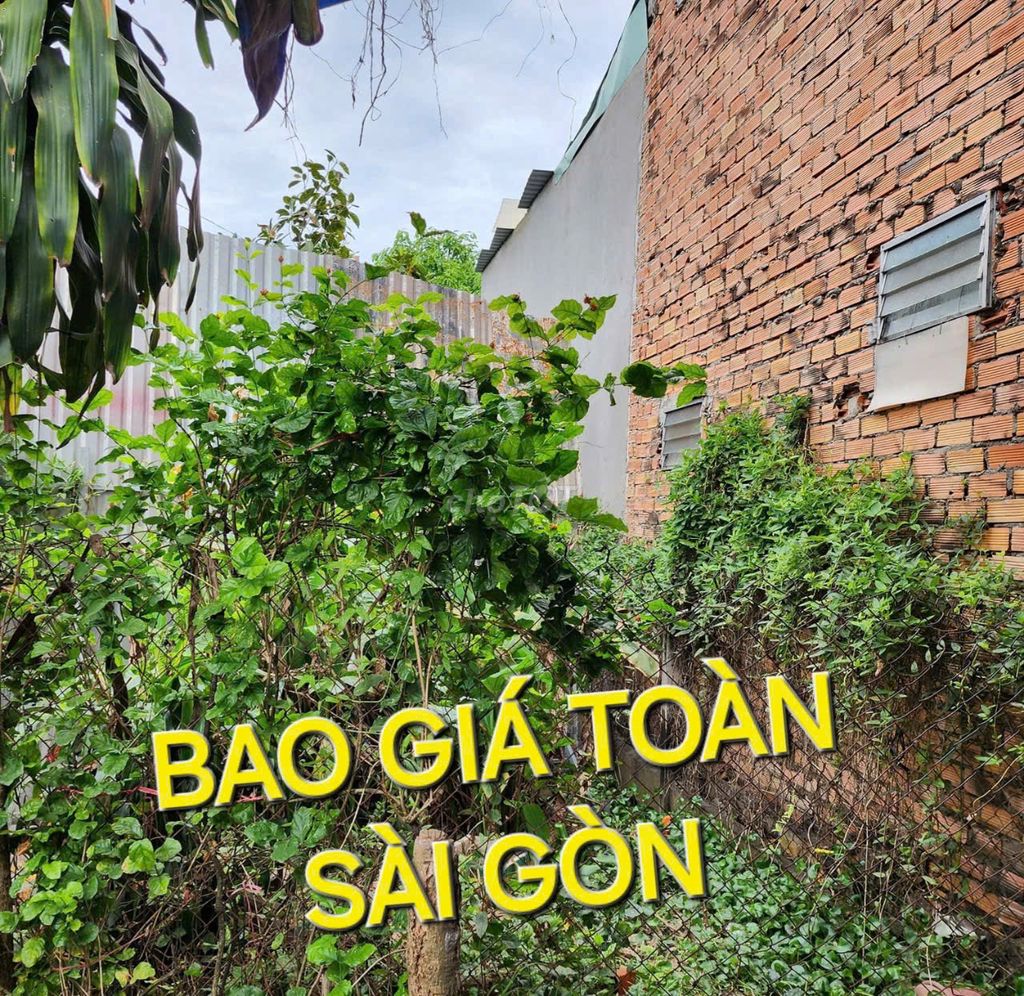 Bao Giá Toàn Sài Gòn - Đất 235m2 có 1,75 tỷ TL8 Hòa Phú Củ Chi TpHCM