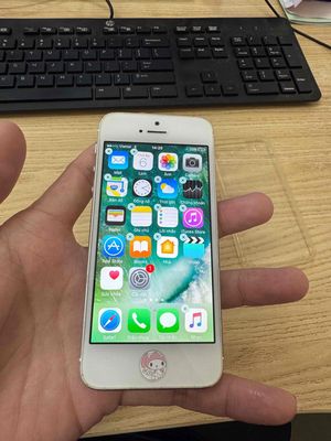 Apple iPhone 5 Trắng