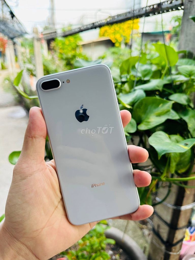 Apple iPhone 8 Plus 64GB Trắng Đã qua sử dụng. Mua bán Điện thoại tại Quận 1 Tp Hồ Chí Minh được đăng bởi Hội Đồ Điện Tử hình 1