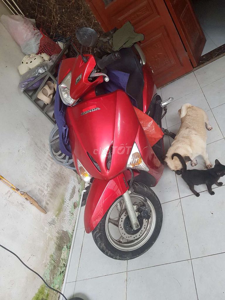 Honda Lead màu Đỏ. Mua bán Xe máy tại Thành phố Thuận An Bình Dương được đăng bởi Hồng Hải  hình 2