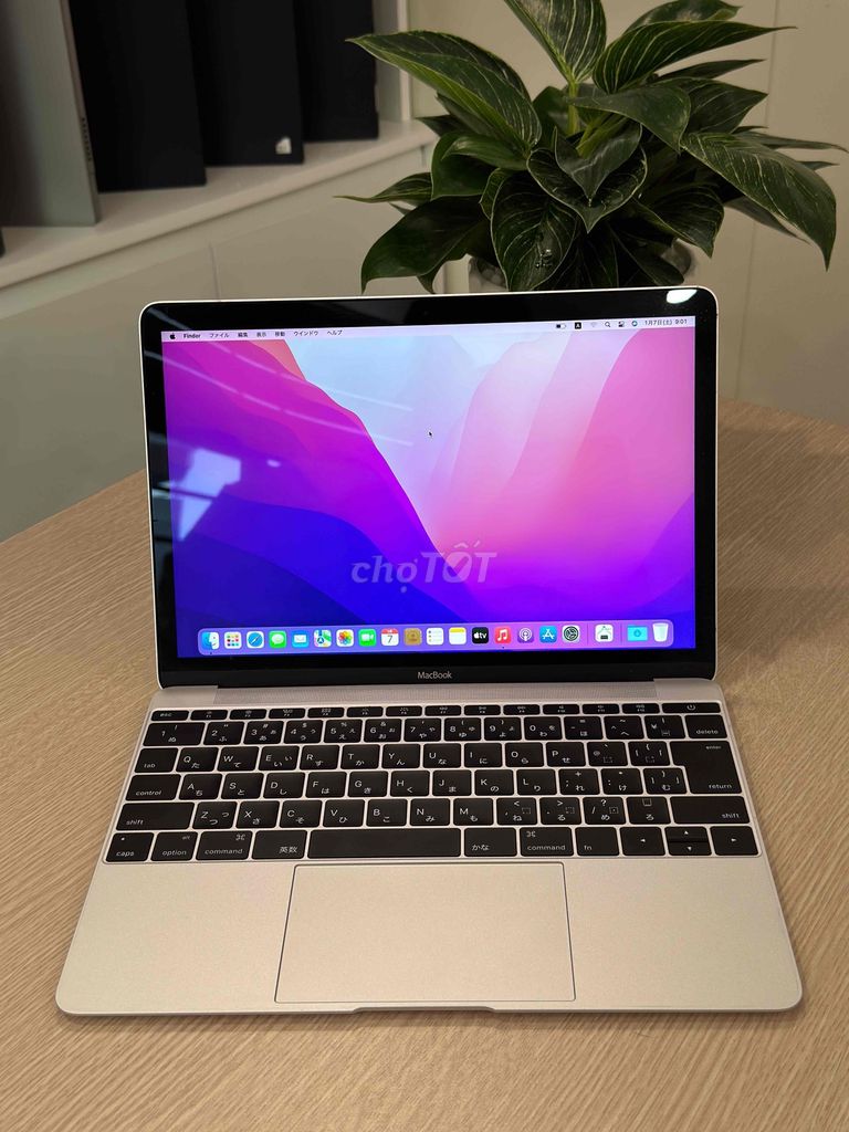 Macbook Retina 2016 M5/RAM 8GB/SSD 512GB quá rẻ. Mua bán Laptop tại Quận Hai Bà Trưng Hà Nội được đăng bởi Akiba shop hình 3