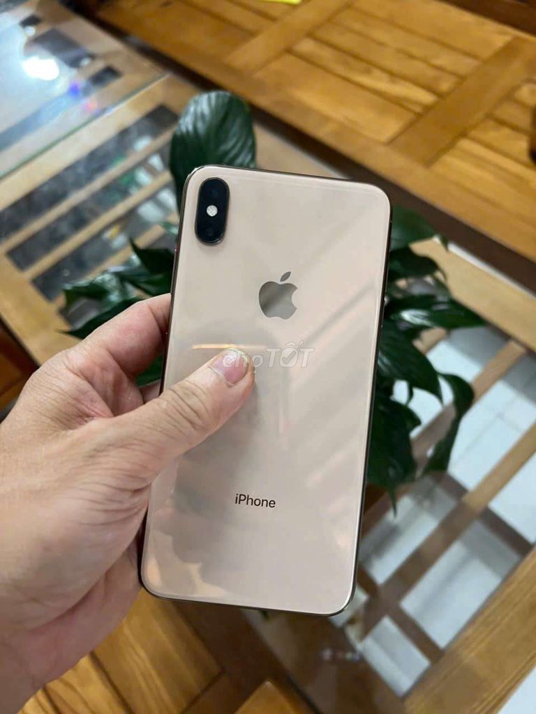 Apple iPhone Xs Max 256GB Vàng đồng. Mua bán Điện thoại tại Quận 12 Tp Hồ Chí Minh được đăng bởi Leson hình 1