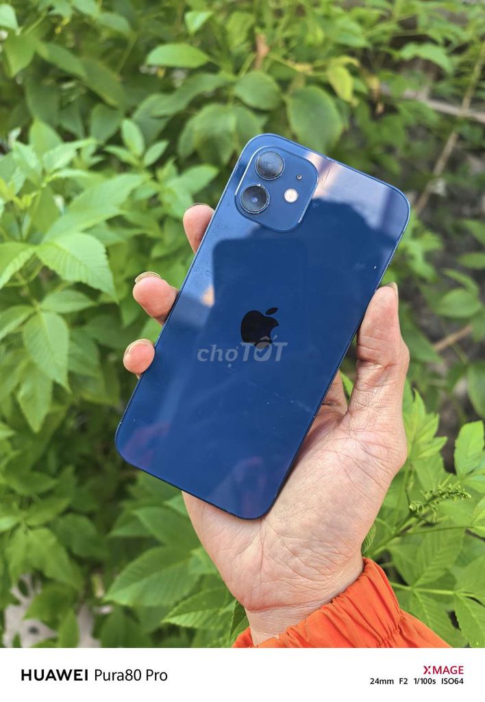 Apple iPhone 12 64GB Xanh 97%. Mua bán Điện thoại tại Thành phố Mỹ Tho Tiền Giang được đăng bởi Quan Nguyễn  hình 1