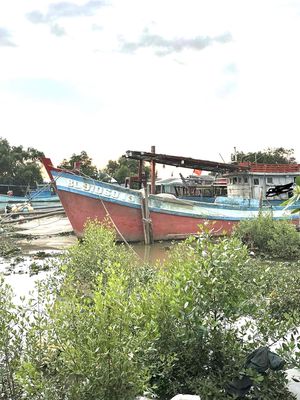 Bán ghe lưới. Mua bán Phương tiện khác tại Thành phố Bạc Liêu Bạc Liêu được đăng bởi Quách Chí Linh