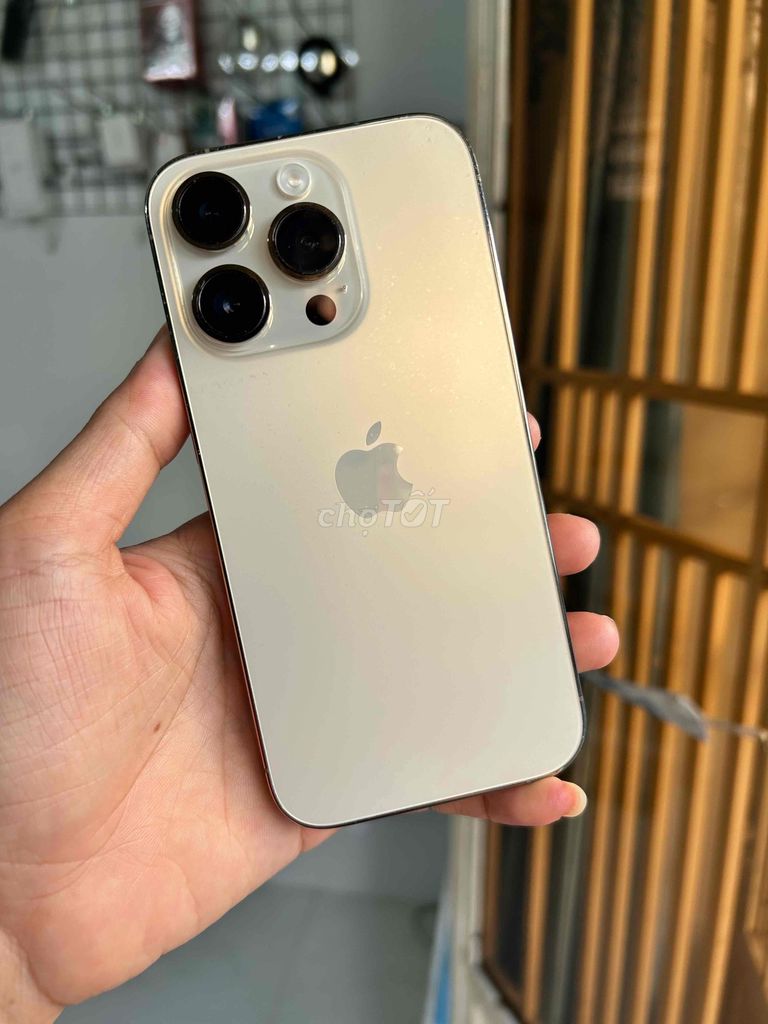 Apple iPhone 14 Pro 256GB Vàng. Mua bán Điện thoại tại Quận Ninh Kiều Cần Thơ được đăng bởi Âu IPhone hình 1
