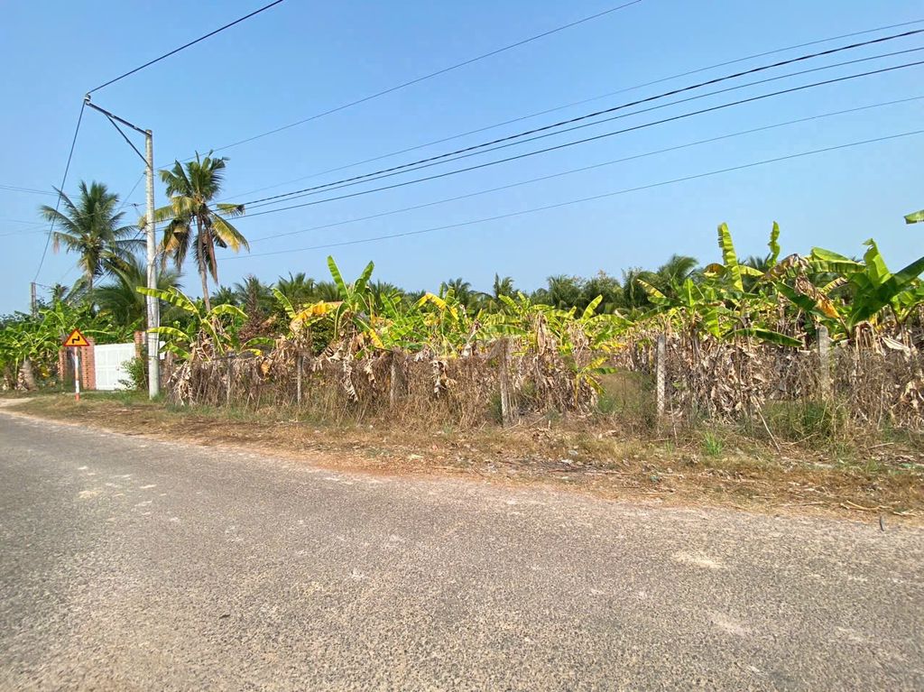 Bán 1600m2 đất tại xã Chà Là huyện Dương Minh Châu. Mua bán đất tại Huyện Dương Minh Châu Tây Ninh được đăng bởi Thanh Lý Tài Sản hình 2
