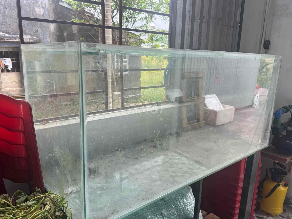 Bể cá Kính Trong suốt. Mua bán Phụ kiện, Thức ăn, Dịch vụ tại Huyện Duy Xuyên Quảng Nam được đăng bởi Gia Hân hình 1