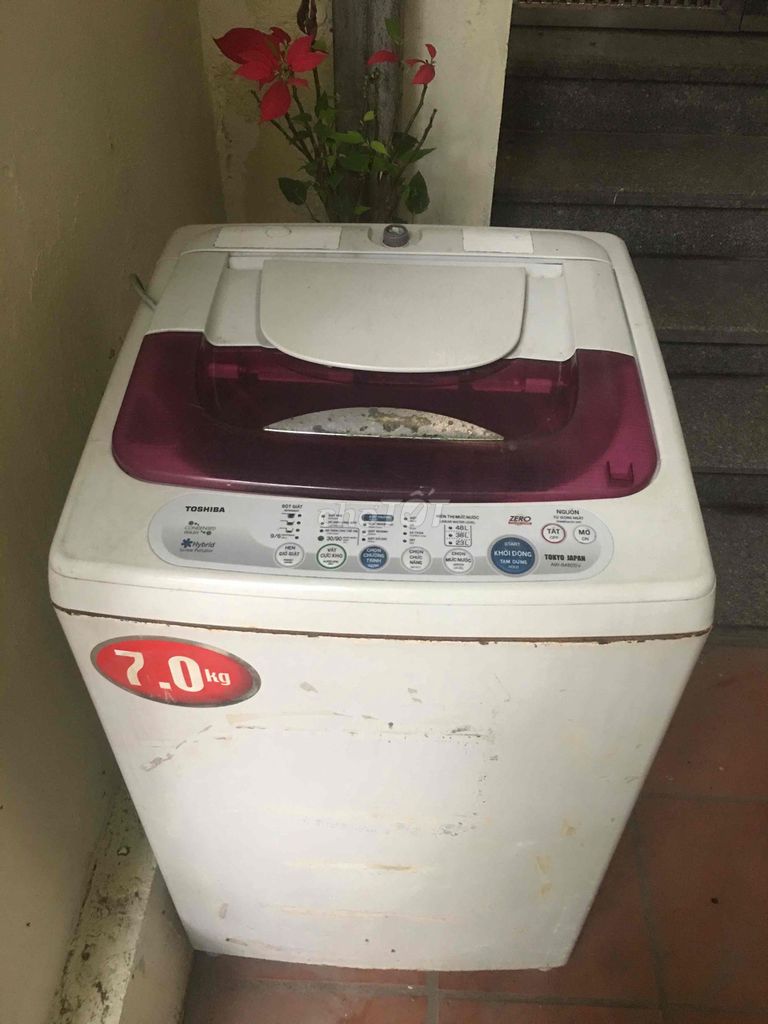 Máy giặt Toshiba 7kg. Mua bán Máy giặt tại Quận Hai Bà Trưng Hà Nội được đăng bởi Sơn Ngô hình 1