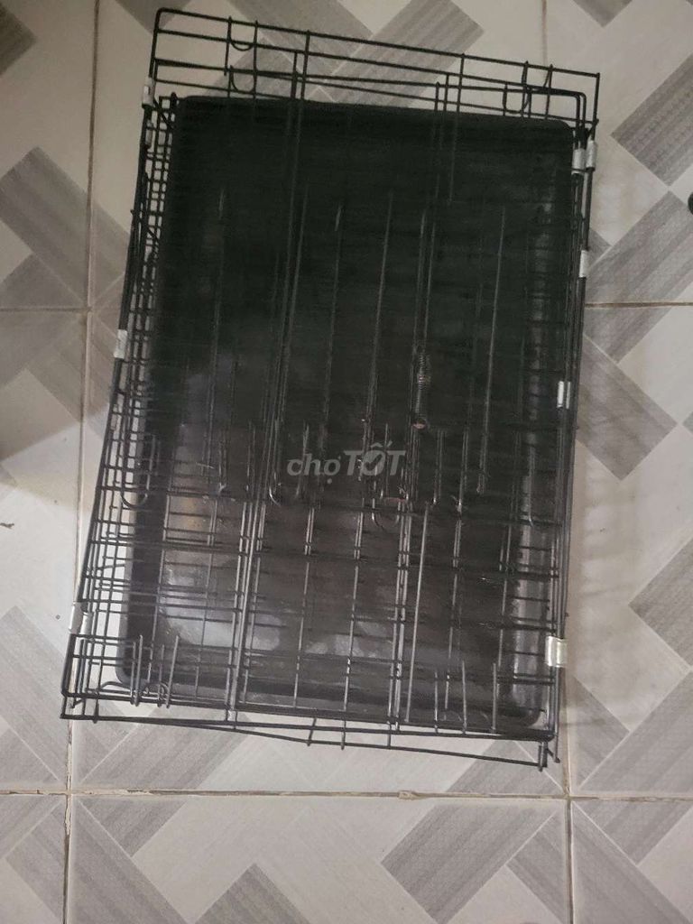 Chuồng và tông đơ cắt cho chó. Mua bán Phụ kiện, Thức ăn, Dịch vụ tại Quận Gò Vấp Tp Hồ Chí Minh được đăng bởi Sang Nguyễn hình 3