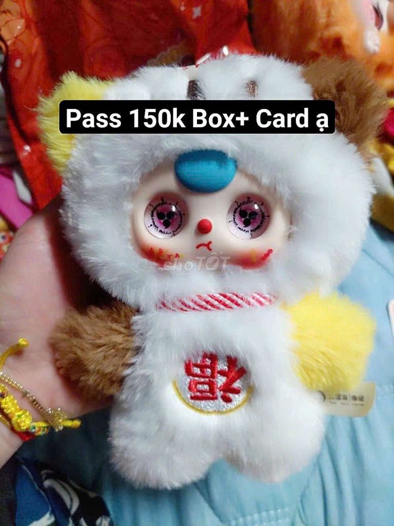 PASS CÒN BOX + CARD