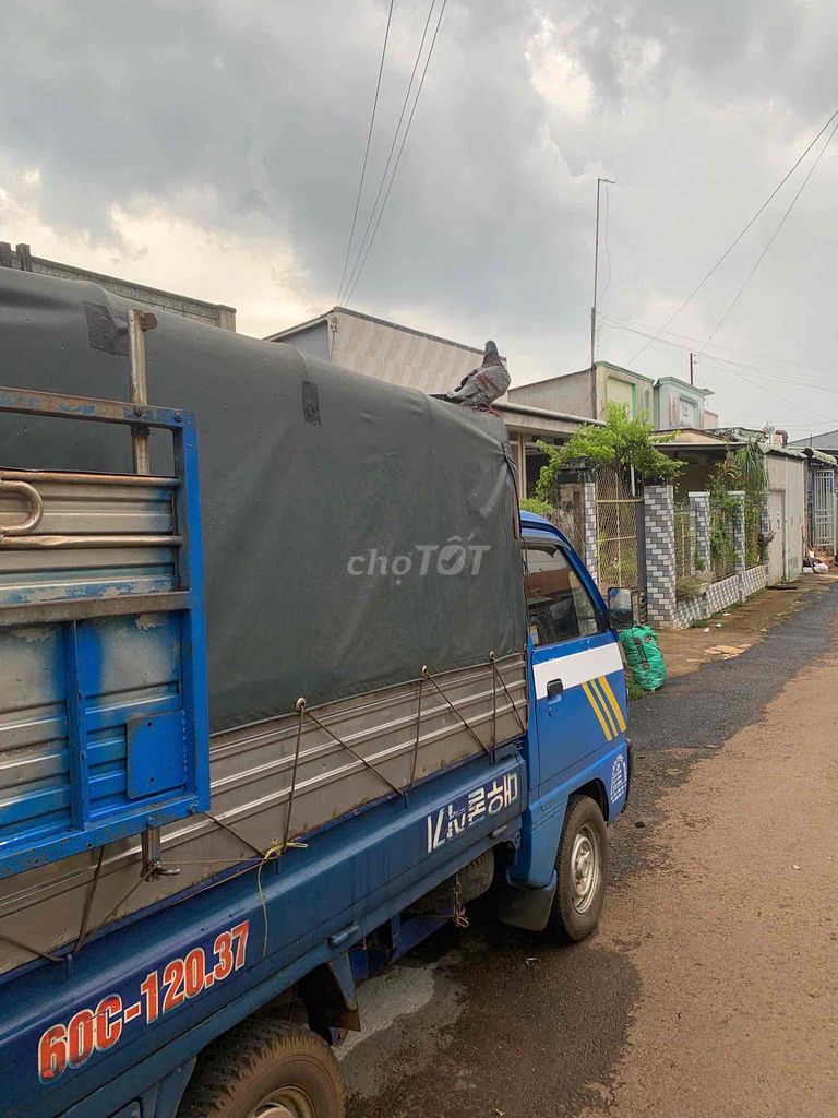 Ảnh số 5