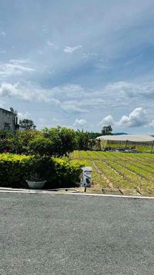 bán đất mặt tiền đường Lê Văn Tám, TT Thạnh Mỹ, Đơn Dương, Lâm Đồng