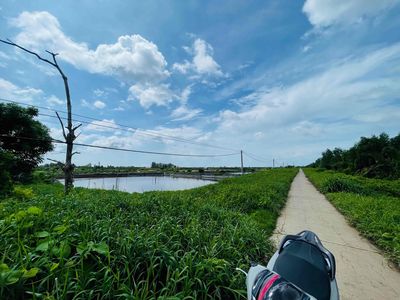 KẸT TIỀN SANG LỖ 29000m2 đất Ao ngay bến phà nông trường. đường oto