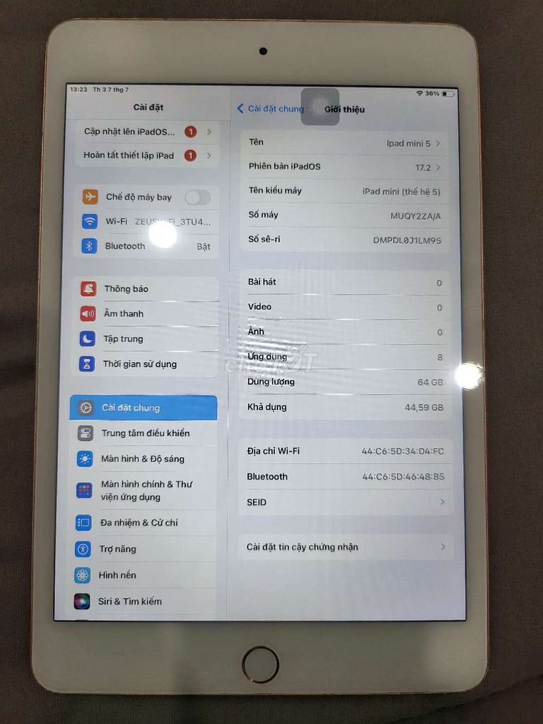 Apple iPad mini 5 64GB Vàng hồng. Mua bán Máy tính bảng tại Quận 12 Tp Hồ Chí Minh được đăng bởi Đức Lê hình 1