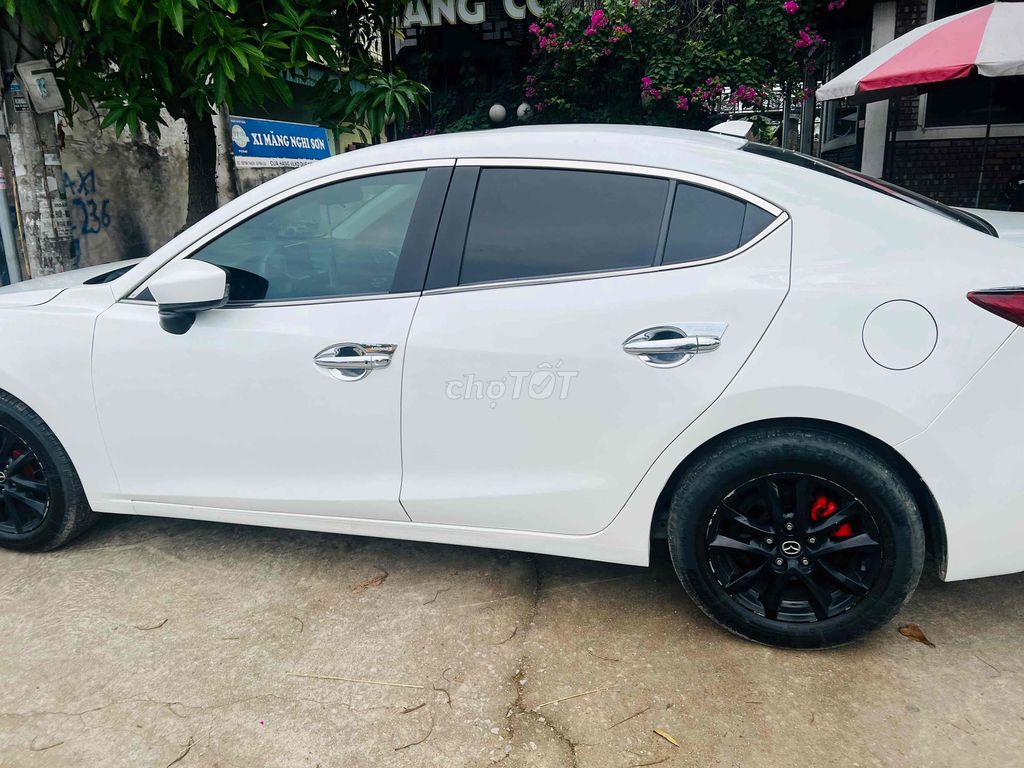 Ảnh số 8