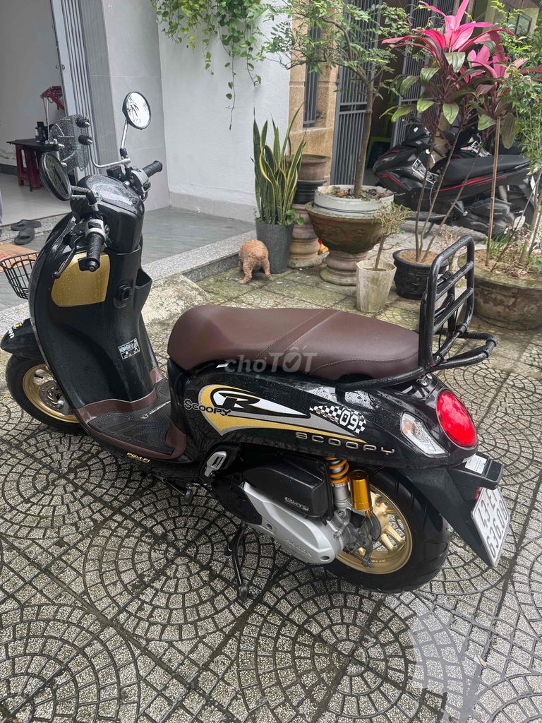 Черные бронзовые диски Honda Scoopy 2023