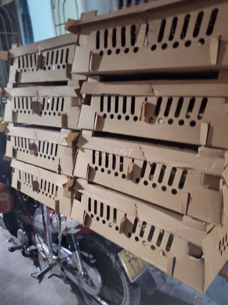 Gà giống 1-20 ngày tuổi đã tiêm. Mua bán Gà tại Quận 12 Tp Hồ Chí Minh được đăng bởi Lê Thị Hảo hình 1