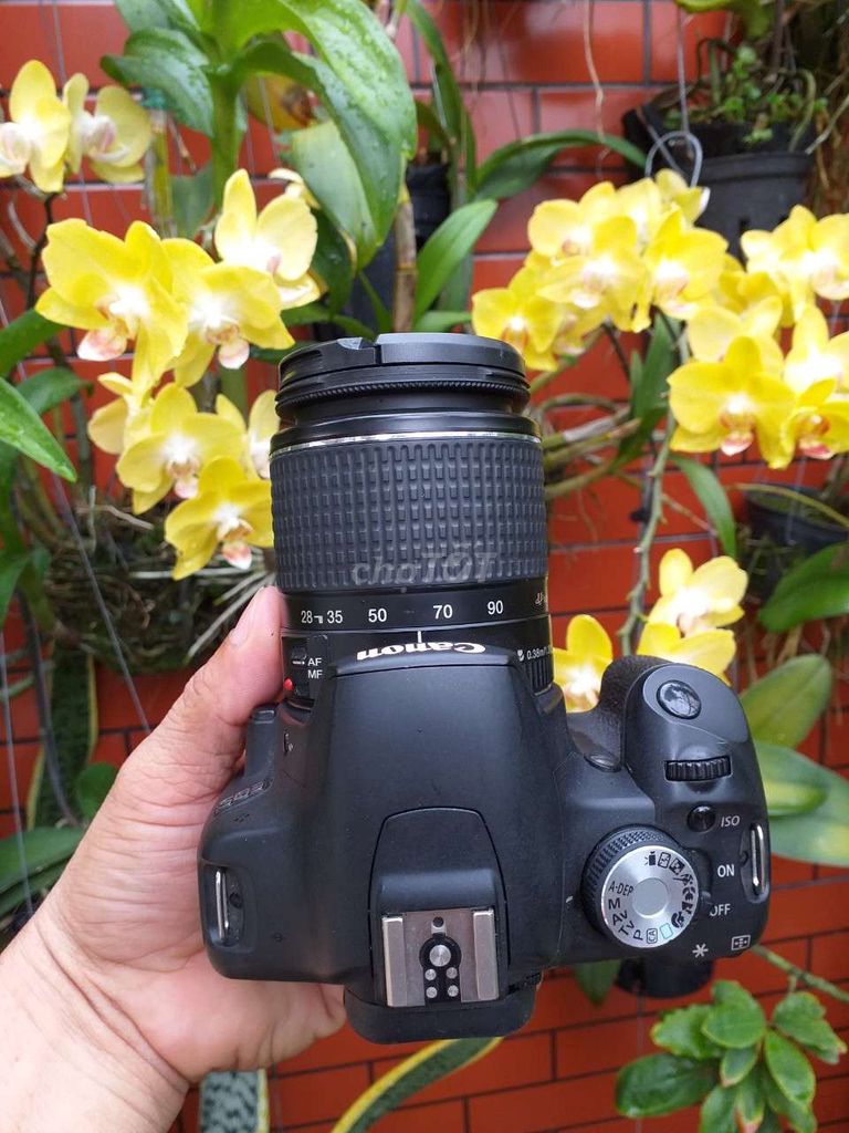 Máy ảnh Canon 500D lens 28,/90 full phụ kiện