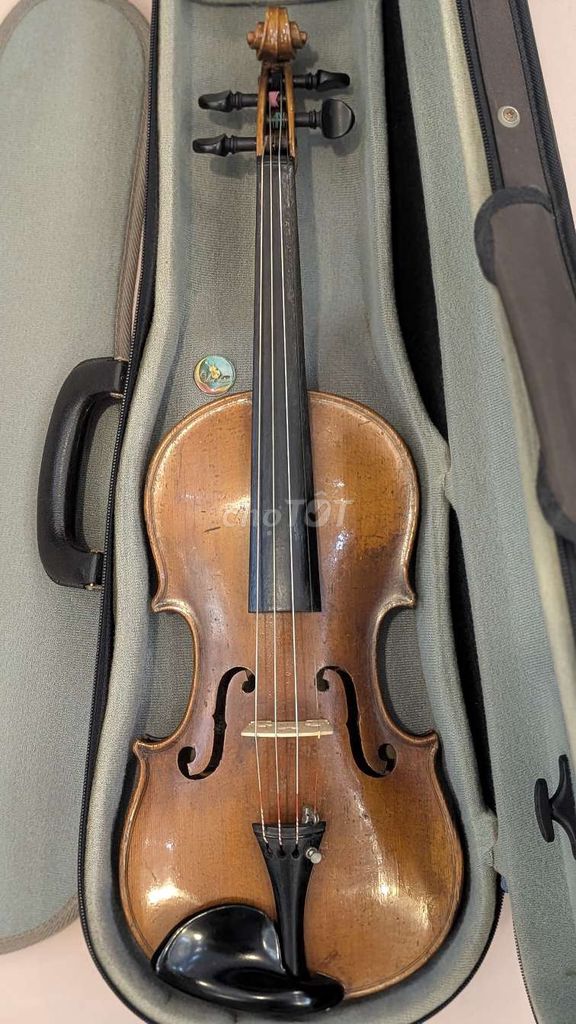 Đàn Violin Đức size 7/8. Mua bán Nhạc cụ tại Quận 12 Tp Hồ Chí Minh được đăng bởi Velvet Violin  hình 1