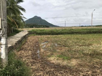 Bán 3 sào 2 (1.705 m2). Mua bán đất tại Thành phố Tuy Hòa Phú Yên được đăng bởi Trần Hùng
