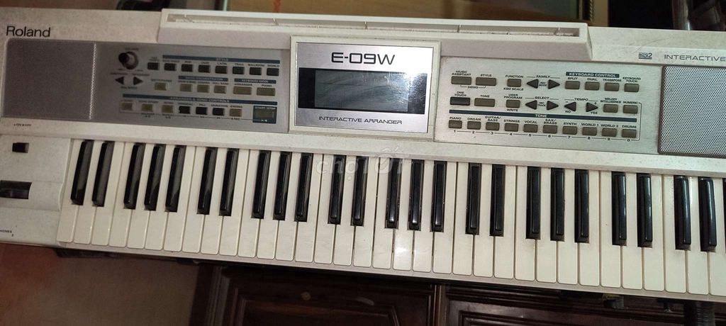 Đàn organ roland e09-w zin