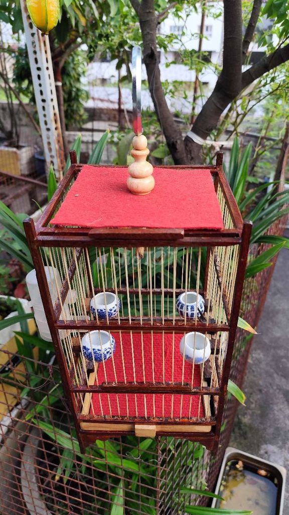 Gỗ cáp quang lồng nhỏ. Mua bán Chim tại Quận Tân Phú Tp Hồ Chí Minh được đăng bởi Hiếu hình 1