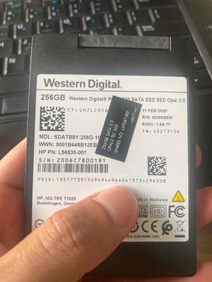 SSD Western 256G Hàng mỹ máy Hp Good W10 Pro
