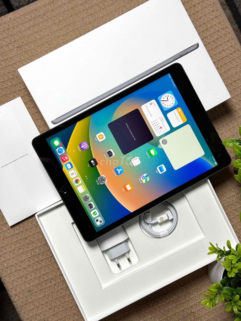 📲Apple iPad Gen 9 64GB 4GXám Đã sử dụng. Mua bán Máy tính bảng tại Quận Bình Tân Tp Hồ Chí Minh được đăng bởi POLY STORE APPLE hình 1