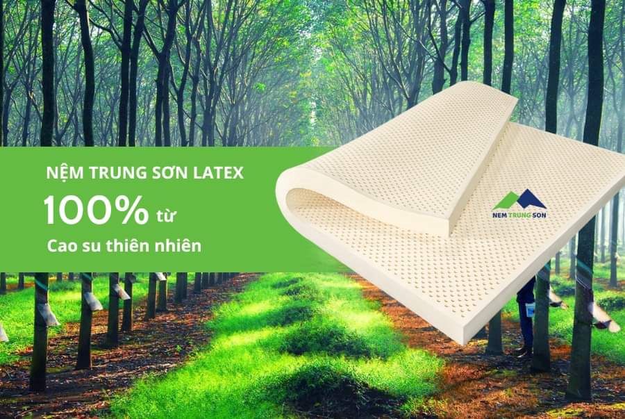 Cửa hàng nệm Hoàng Văn tại undefined undefined hình 1