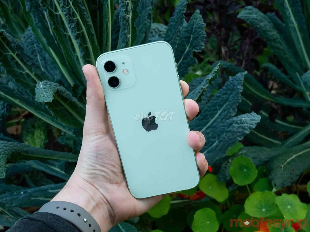 Apple iPhone 12 64GB Xanh lá. Mua bán Điện thoại tại Huyện Châu Thành Trà Vinh được đăng bởi Tiger hình 1