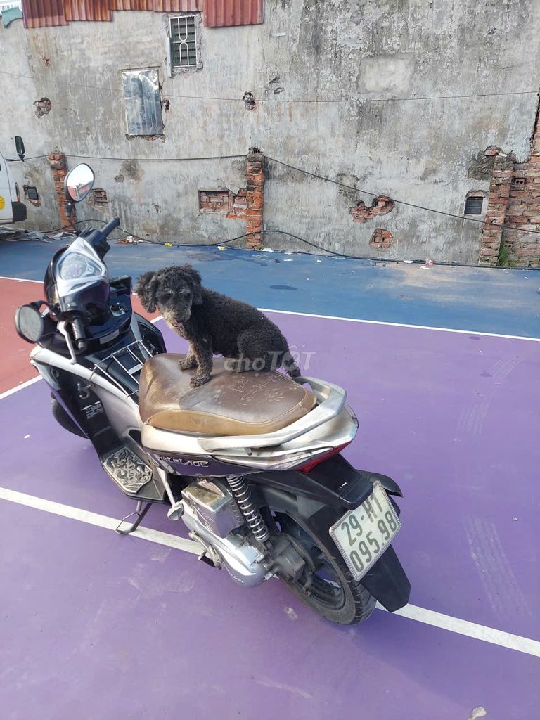 Bán xe Honda Airblade mầu đen chính chủ còn tốt. Mua bán Xe máy tại Quận Hai Bà Trưng Hà Nội được đăng bởi Xúy hình 5